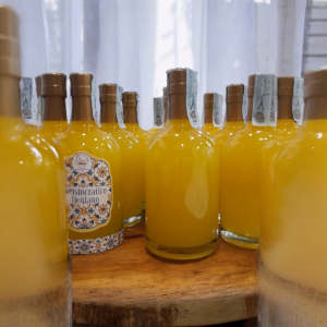 L'Aristocratico Cilentano